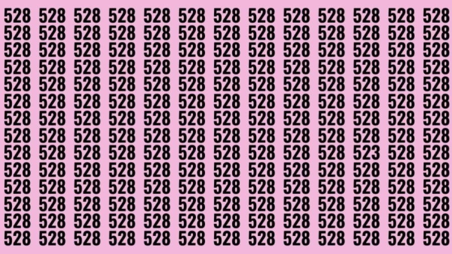 Optical Illusion: Can you find 523 among 528 in 8 Seconds?