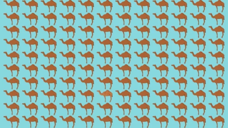 Optical Illusion: Can you find the Odd Camel in 10 Seconds?