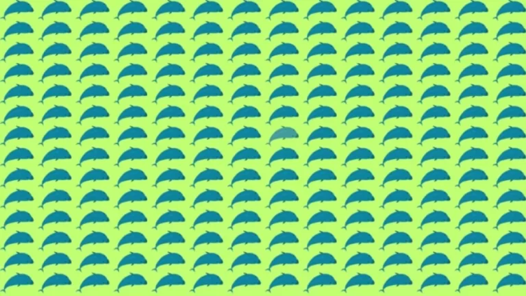 Optical Illusion: Can you find the Odd Dolphin in 10 Seconds?