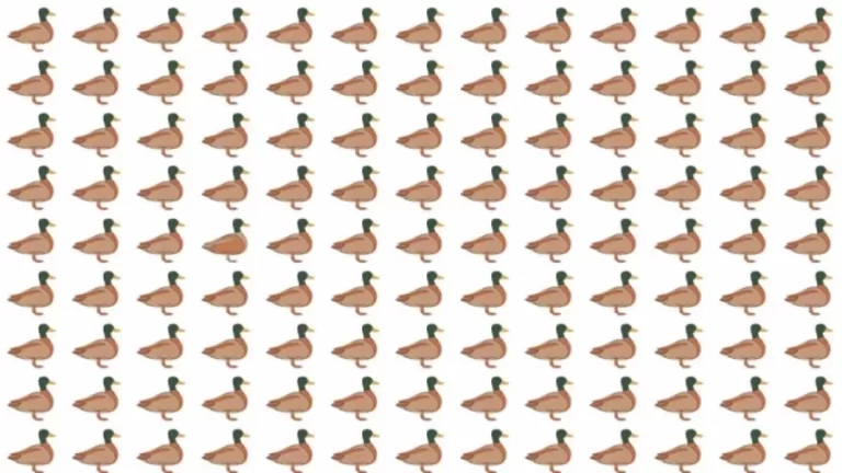 Optical Illusion: Can you find the Odd Duck in 12 Seconds?