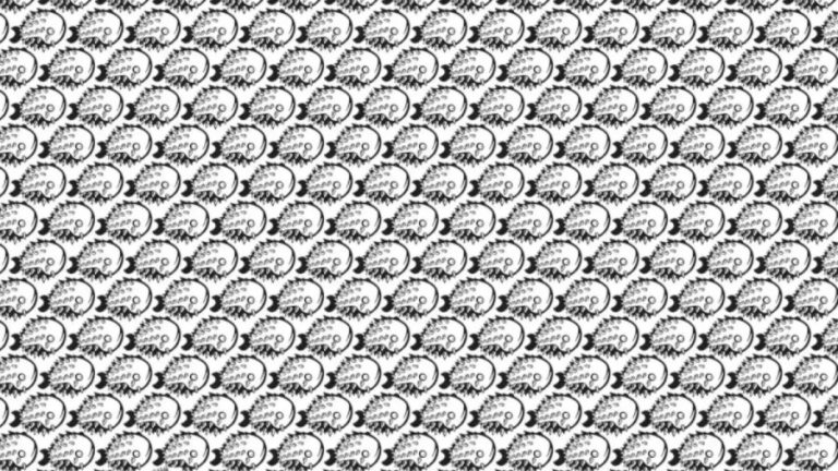 Optical Illusion: Can you find the Porcupine among the Fishes within 8 Seconds?