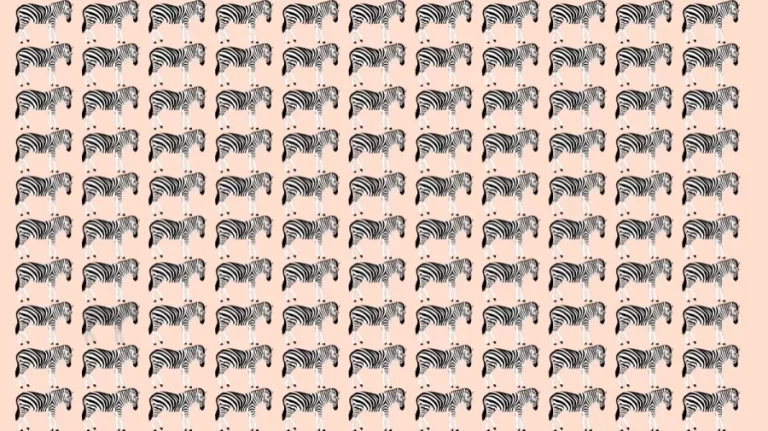 Optical Illusion: Can you spot the Odd Zebra in 10 Seconds?