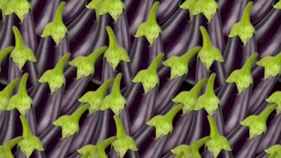 Optical Illusion Eye Test: Can you spot the Hidden Fig among these Brinjals within 15 Seconds?