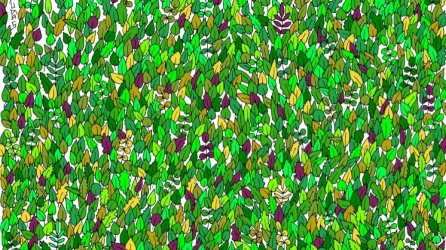 Optical Illusion Eye Test: You have Eagle Eyes if you spot the Frog in this Picture in less than 20 Seconds