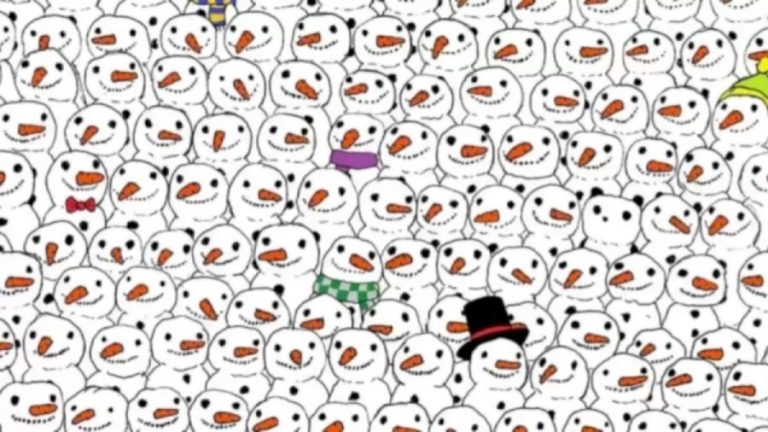 Optical Illusion IQ Test: Can you spot the Hidden Panda among the Snowman within 15 Seconds?