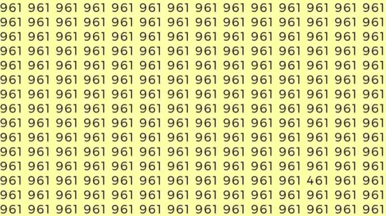 Optical Illusion: If you have eagle eyes find 461 among 961 in 8 Seconds?