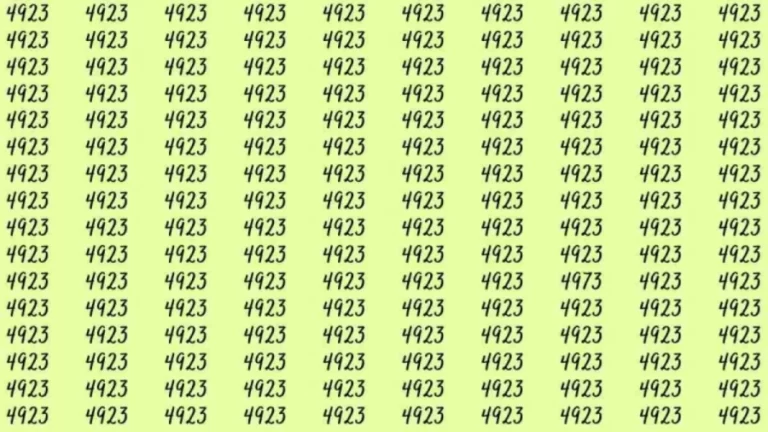 Optical Illusion: If you have hawk eyes find 4973 among 4923 in 10 Seconds?