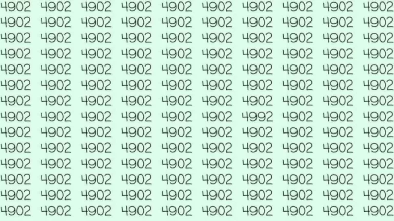 Optical Illusion: If you have hawk eyes find 4992 among 4902 in 10 Seconds?