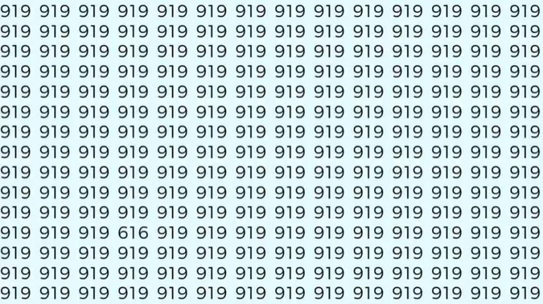 Optical Illusion: If you have sharp eyes find 616 among 919 in 10 Seconds?