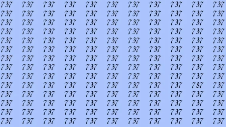 Optical Illusion: If you have sharp eyes find 787 among 737 in 6 Seconds?