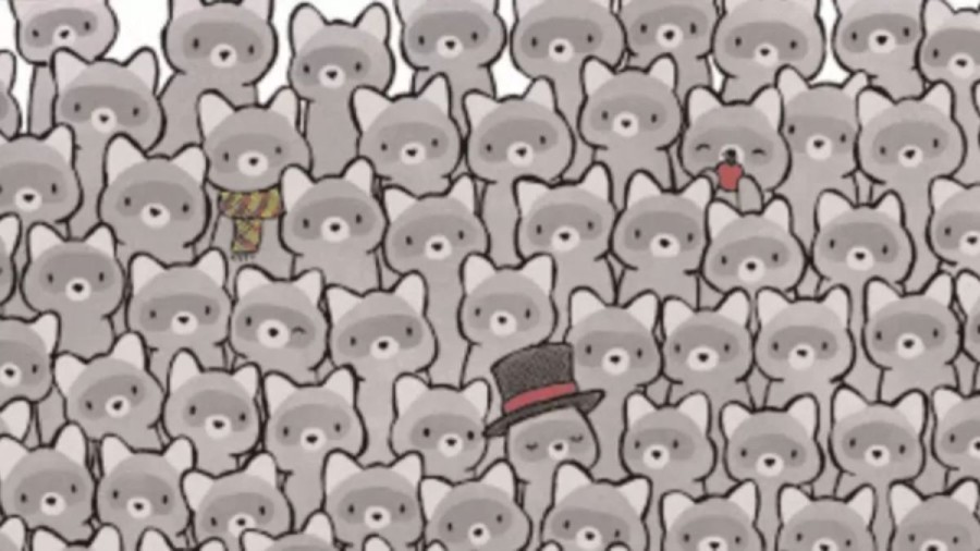 Optical Illusion: Only Sharp Eyes can find the Hidden Cat among the Raccoons?