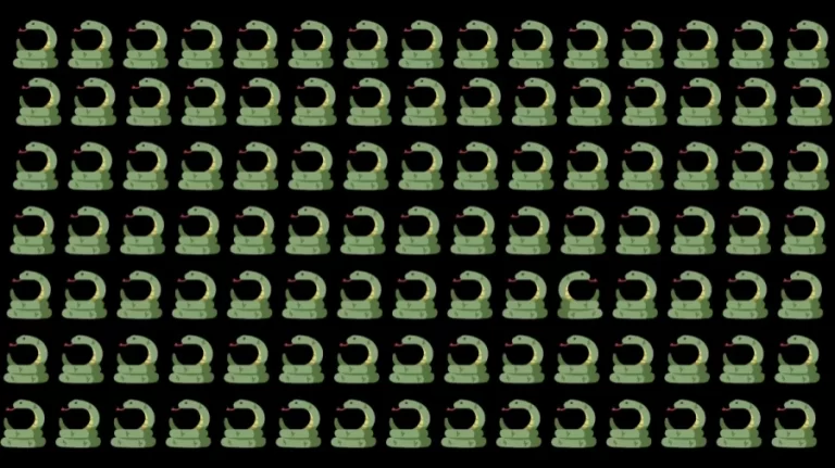 Optical Illusion: Sharp Eye people can spot the Odd Snake in 10 Seconds