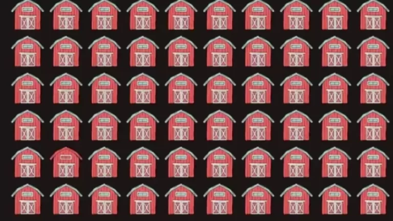 Optical Illusion Vision Test: Can you find the Different Barn?