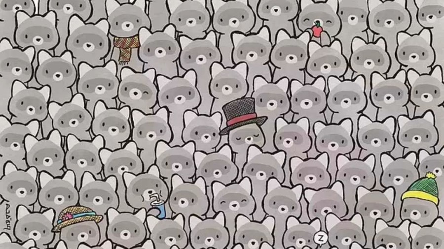 Optical Illusion for IQ Test: Can you spot the hidden Cat among Raccoons in 25 Secs?