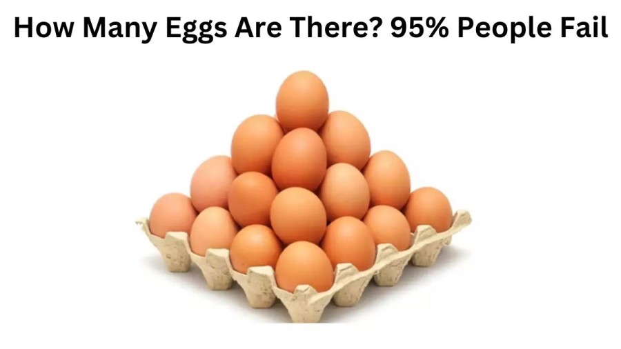 Optical Illusion for IQ Test: How Many Eggs Are There? 95% People Fail