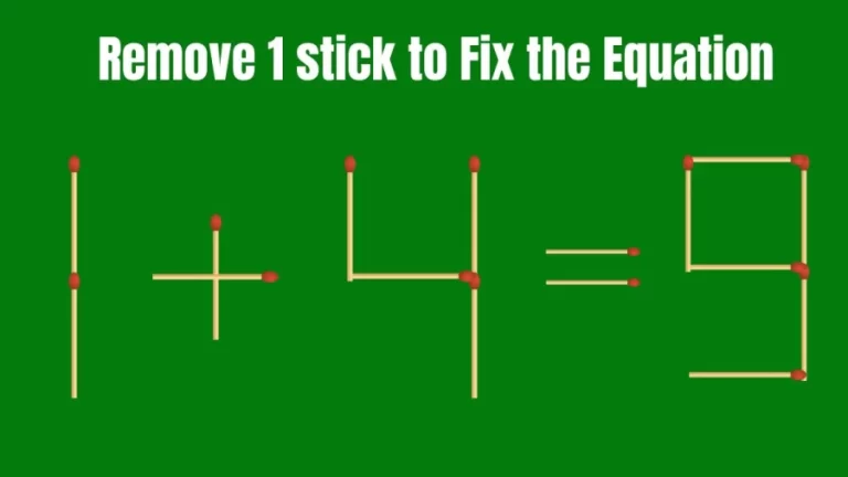 Remove 1 Stick and Fix the Equation 1+4=9 | Viral Brain Teaser