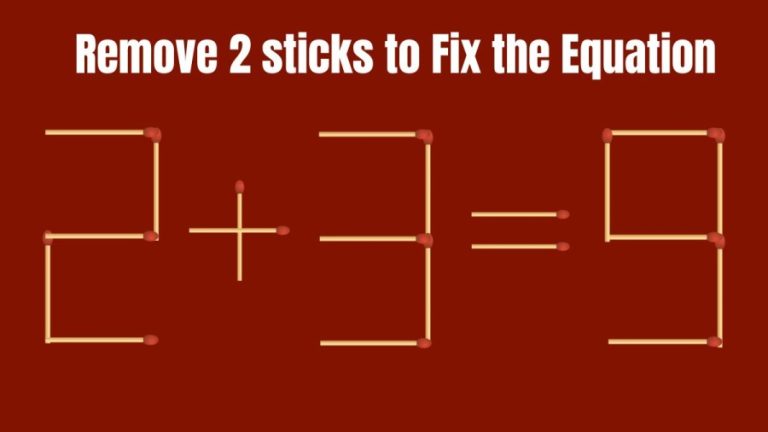 Remove 2 Sticks and fix the Equation 2+3=9 | Brain Teaser Matchstick puzzle