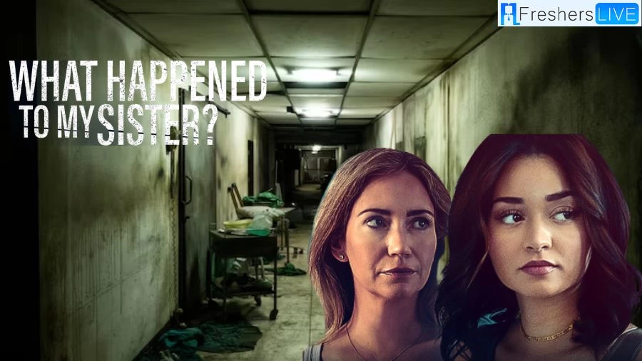 What Happened to My Sister Ending Explained, Cast, Plot, and More