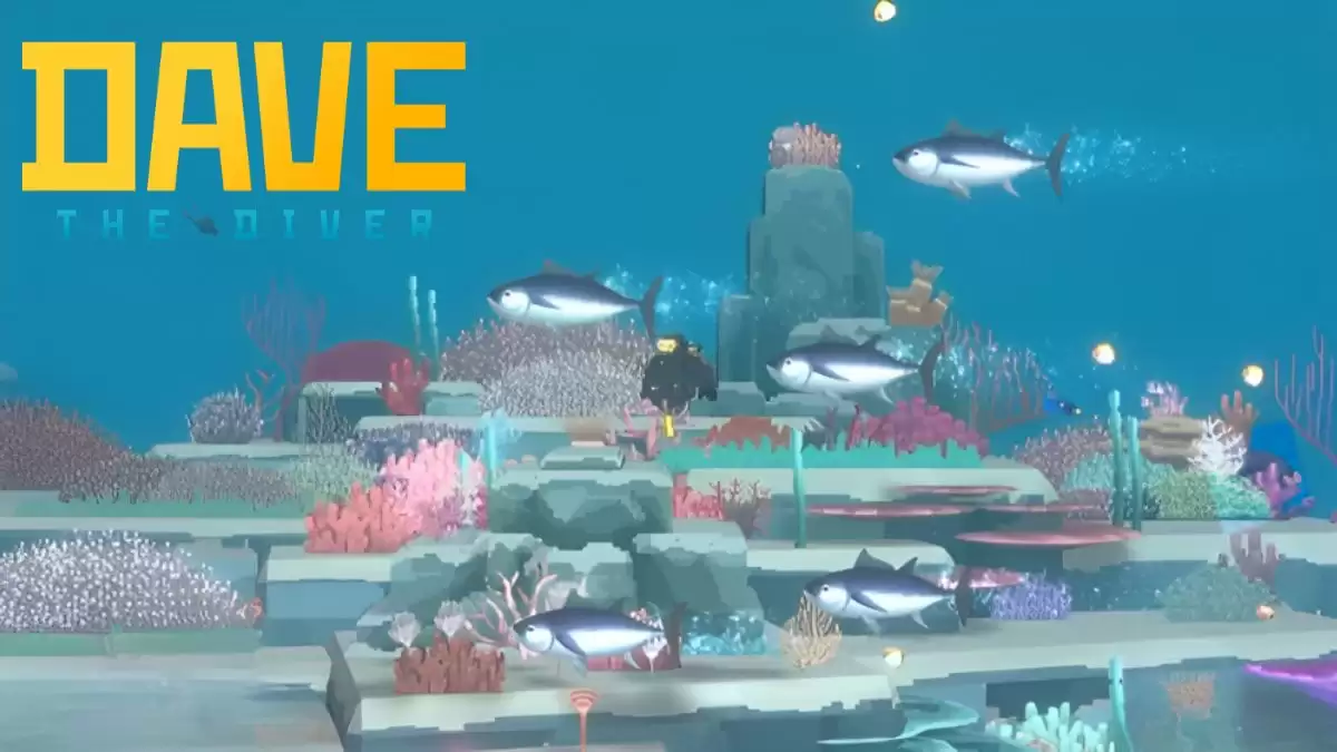 Where to Find the Coral Trout in Dave the Diver? How to Catch Coral Trout in Dave the Diver?
