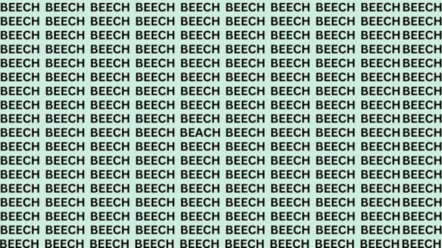 Optical Illusion Eye Test: If You Have Hawk Eyes Find The Word Beach Among Beech In 15 Secs