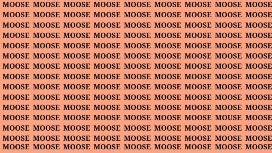 Brain Teaser: If You Have Hawk Eyes Find the Word Mouse in 15 Secs