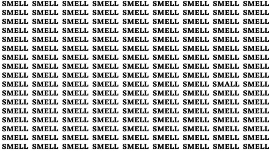 Brain Teaser: If You Have Sharp Eyes Find The Word Small Among Smell In 20 Secs