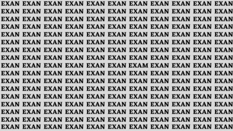 Optical Illusion: If You Have Sharp Eyes Find The Word Exam In 10 Secs