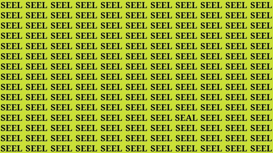 Brain Test: If You Have Hawk Eyes Find The Word Seal Among Seel In 15 Secs