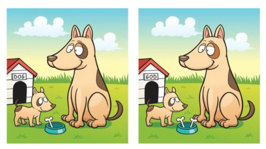 Brain Teaser: Can You Find 5 Differences Between These Two Pictures In 25 Secs?