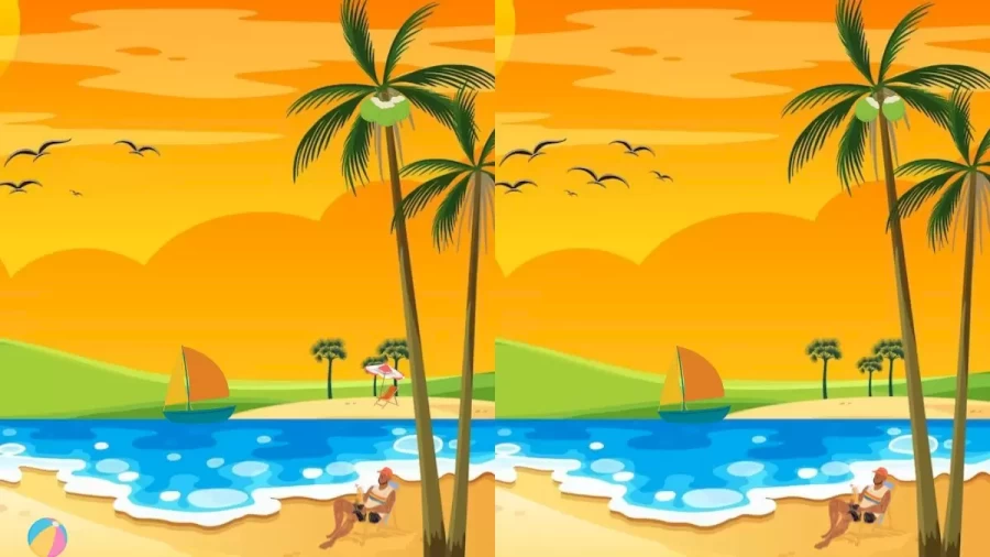 Brain Teaser: Can You Spot 5 Differences Between These Two Pictures In 30 Secs?