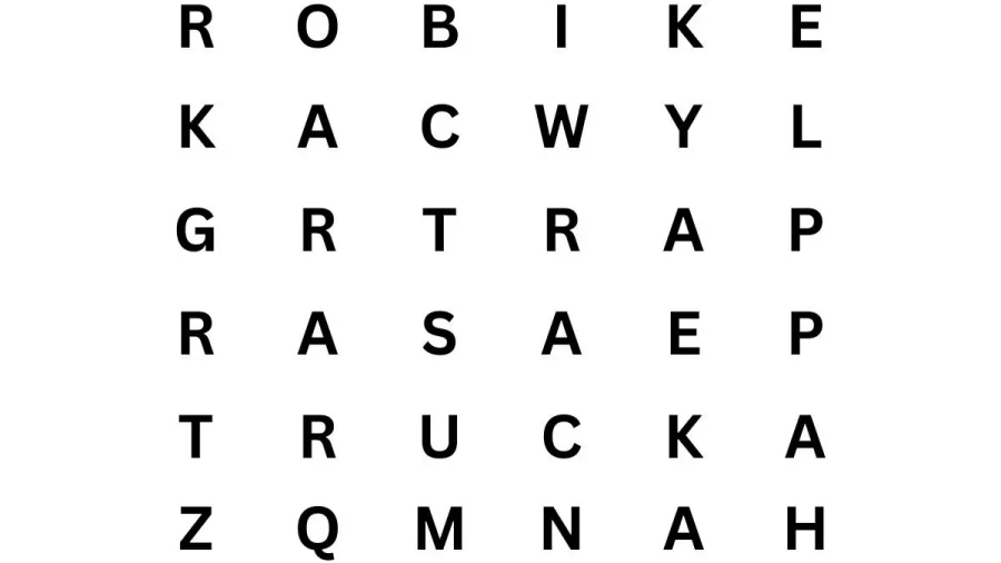 Brain Teaser Eye Test: Can you find 6 words in the image within 25 seconds?