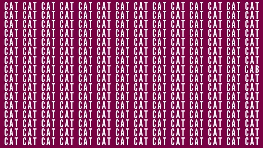 Brain Teaser: If You Have Eagle Eyes Find The Word Cab Among Cat In 24 Secs