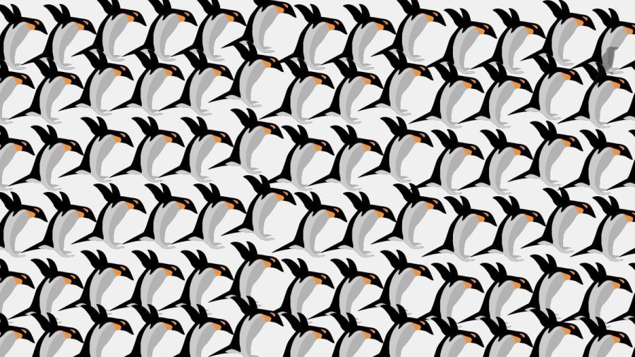 Optical Illusion IQ Test: If You Have Eagle Eyes Find The Crow Among Penguins In 15 Secs