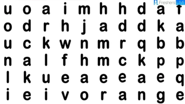 Brain Teaser: Can You Find Cake, Hammer, Orange Within 20 Seconds? Visual Puzzle