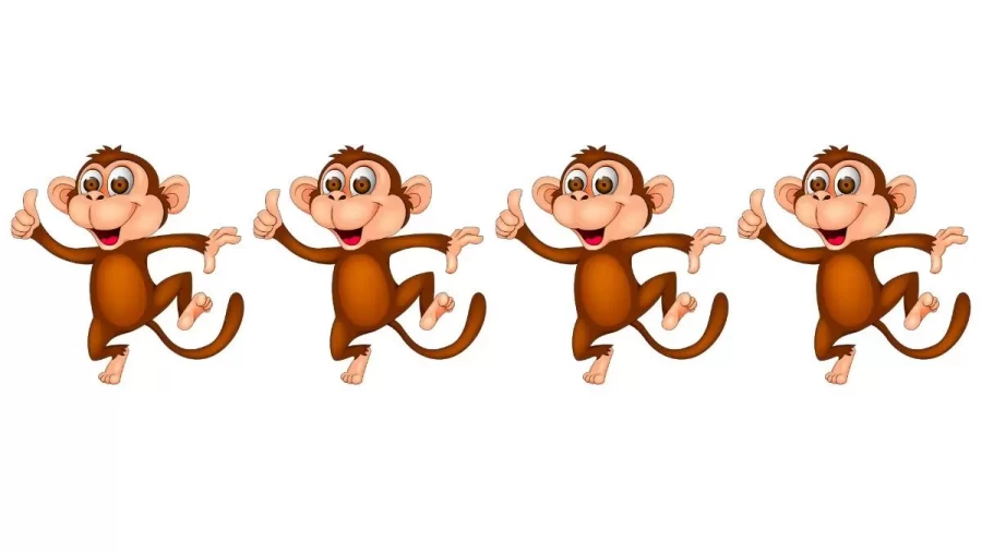 Brain Teaser: Can You Find The Odd Monkey In 15 Secs?