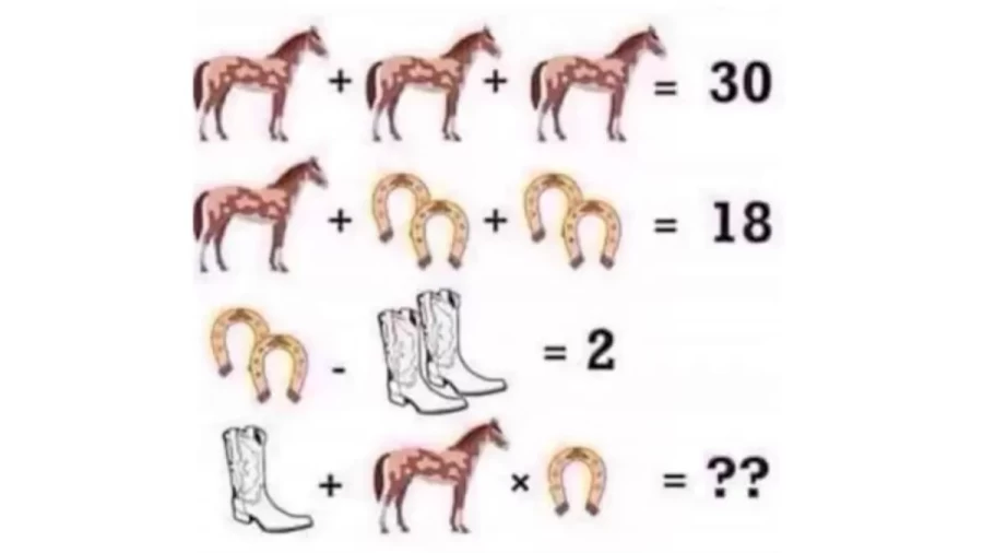 Brain Teaser: Can You Solve This Animal Math Equation?