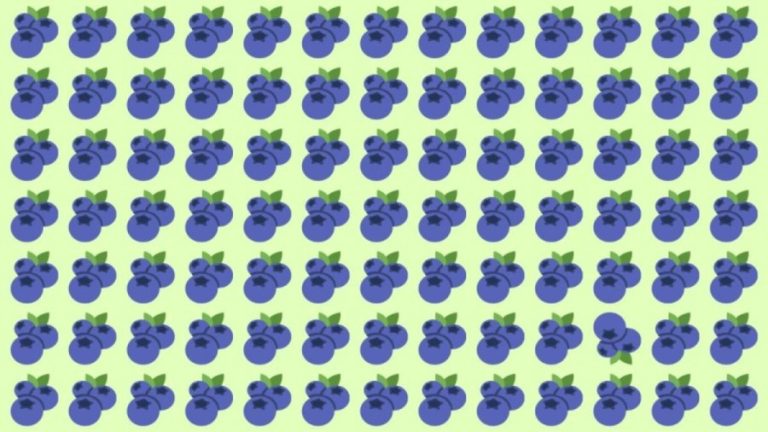 Brain Teaser: Can you Find the Odd One Out in this Visual Puzzle in 24 Secs?