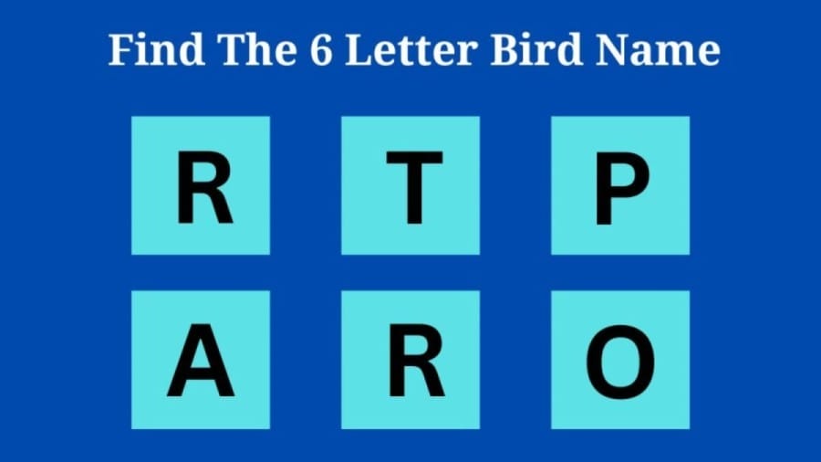 Brain Teaser: Can you guess the 6 letter Bird name in 10 seconds? Scrambled Word Puzzle