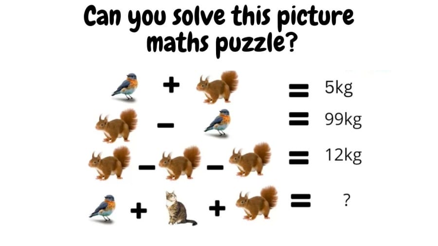 Brain Teaser: Can you solve this picture maths puzzle?