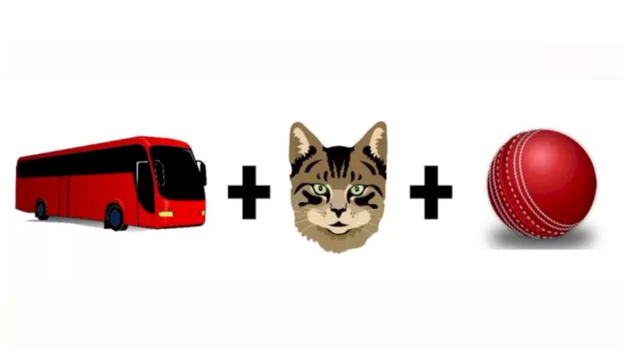 Brain Teaser Emoji Puzzle: Can You Guess The Sport From The Emojis?