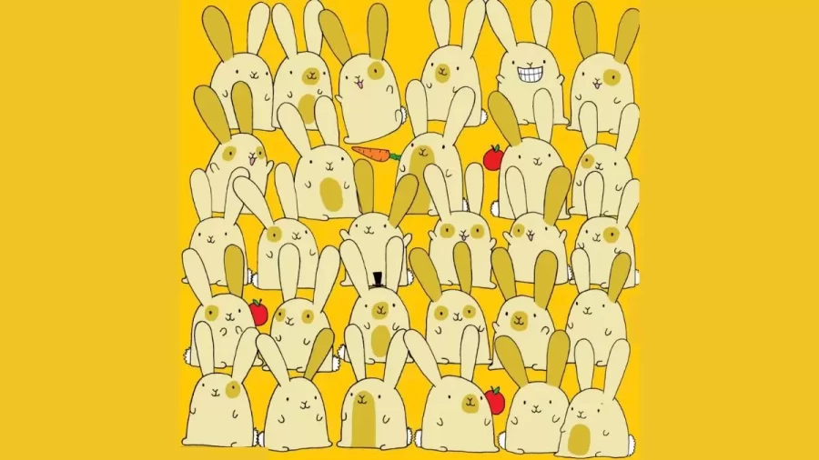 Brain Teaser Eye Test: Which Of These Bunnies Does Not Have A Pair?