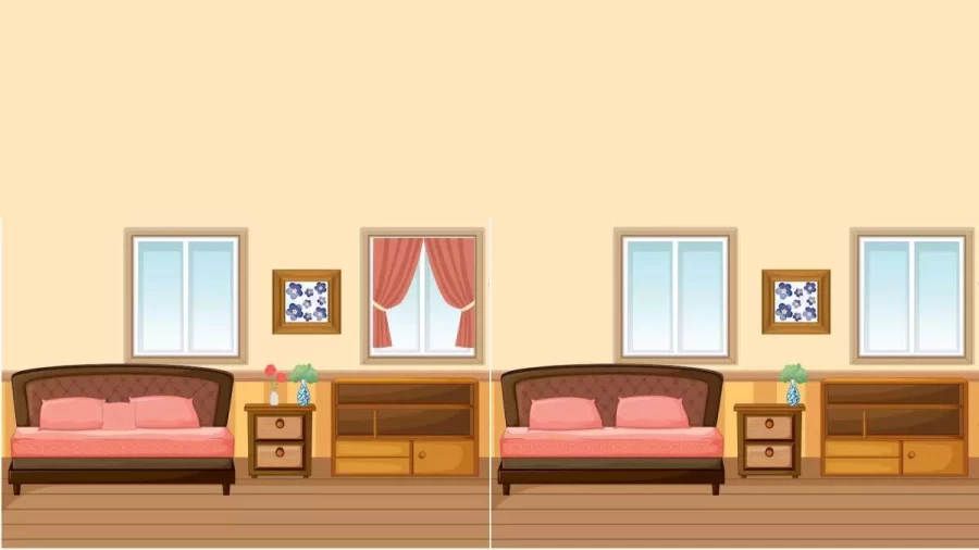 Brain Teaser: How Fast Can You Spot All The Difference Between These Two Images In 25 Secs?