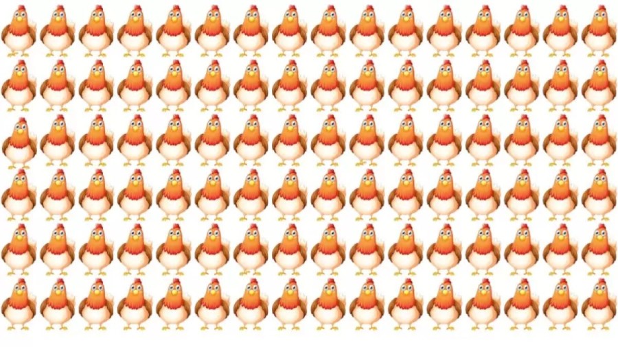 Brain Teaser: How Many Three-Legged Hens Can You Spot In This Picture Puzzle?