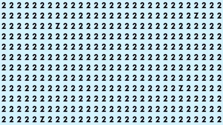 Brain Teaser: How Many Z Can You Find In This Picture?