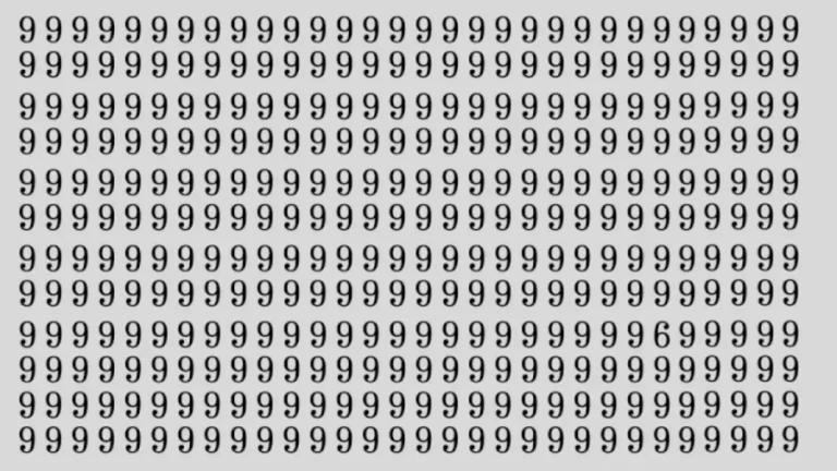 Brain Teaser: If You Have Eagle Eyes Find 6 Among 9 In 15 Secs