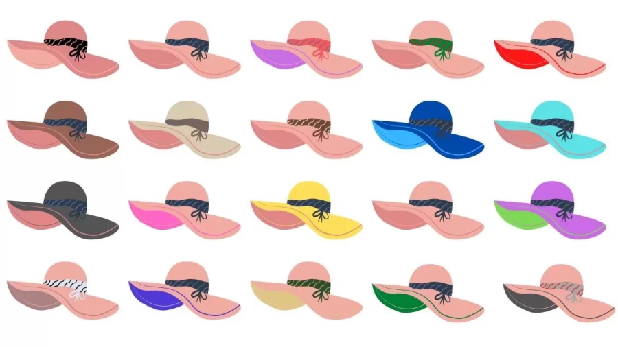 Brain Teaser: If You Have Sharp Eyes Find The Two Hats That Are Same?