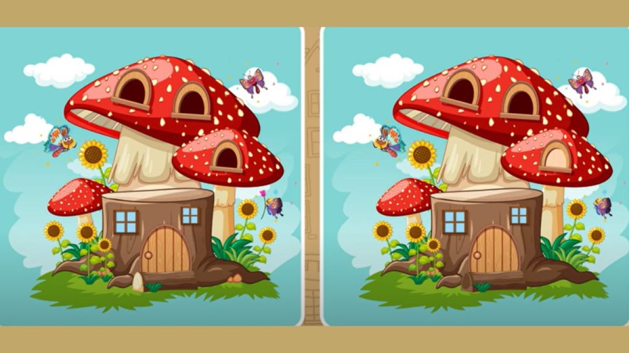 Brain Teaser Image Puzzle: Can you spot 5 differences between these two Images within 30 secs?
