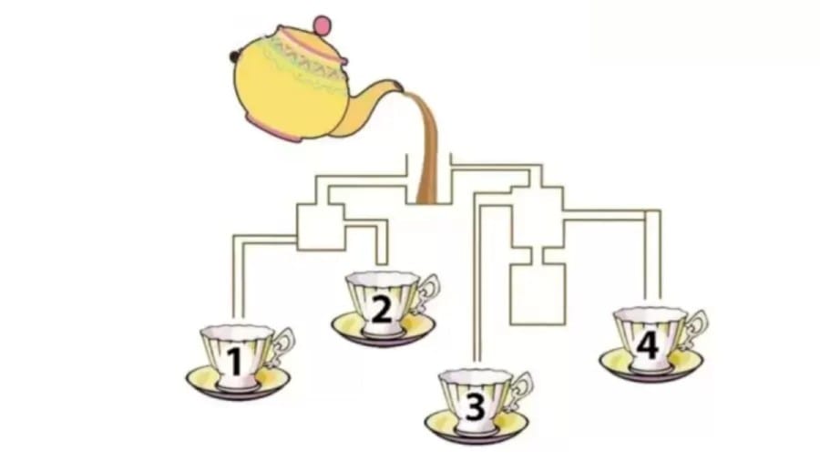 Brain Teaser Logic Puzzle: Which cup will fill first in picture?