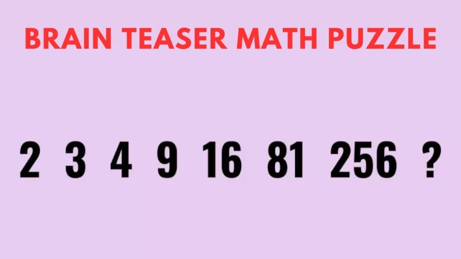 Brain Teaser Math Puzzle - 2, 3, 4, 9, 16, 81, 256? What should come next?