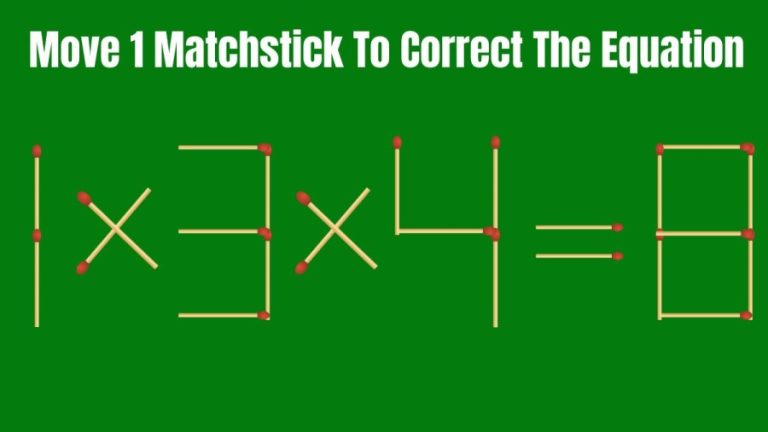 Brain Teaser: Move 1 Matchstick To Correct The Equation 1x3x4=8 | Tricky Matchstick Puzzle